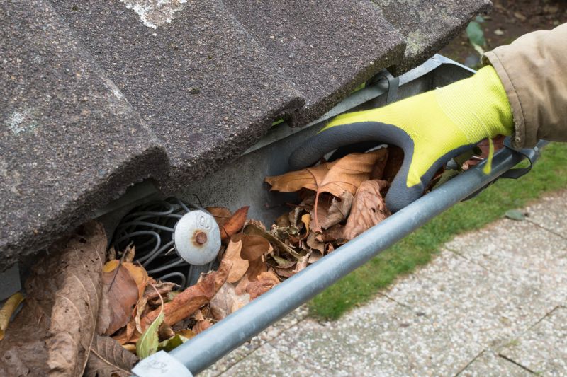 Clogged Gutter Clearing