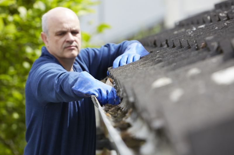 Gutter Debris Removal