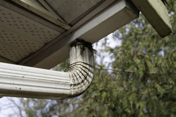 Downspout Cleaning in East Lansing