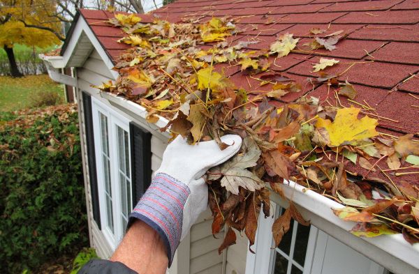 Rain Gutter Cleaning Service in East Lansing