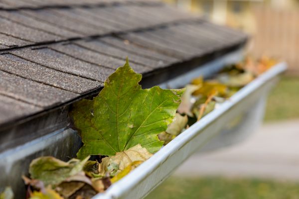 Commercial Downspout Cleaning in East Lansing