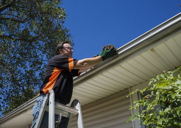 Eavestrough Clearing in East Lansing