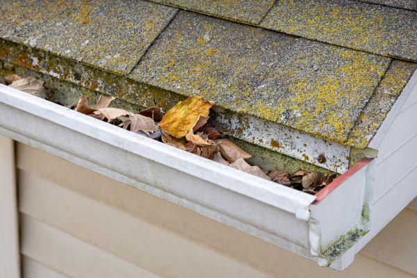 Garage Gutter Cleaning in East Lansing